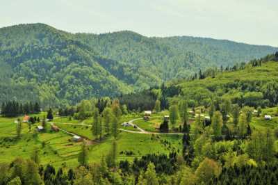 Odayeri Yaylası